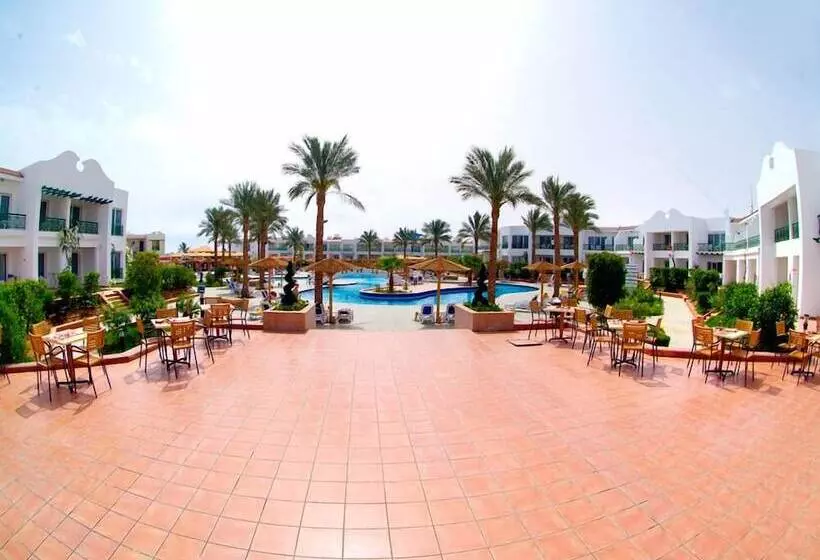 Fotos del hotel Panorama Naama Heights:  24