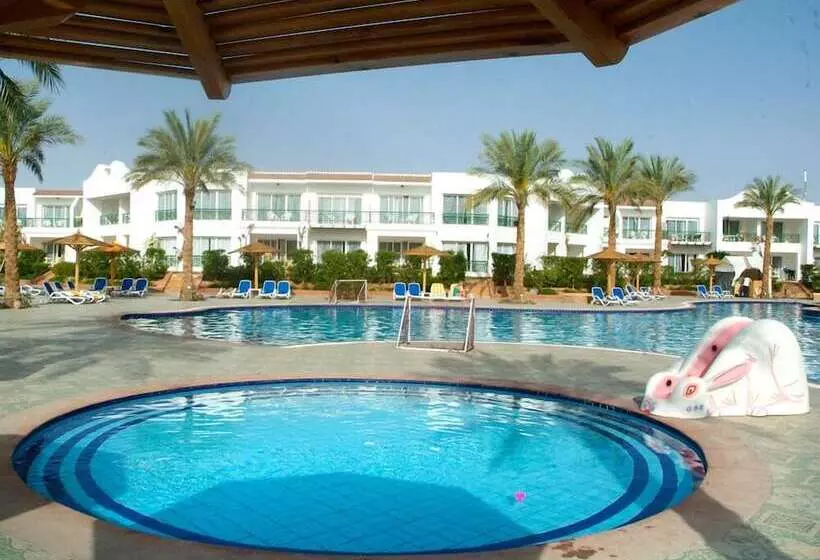 Fotos del hotel Panorama Naama Heights:  9