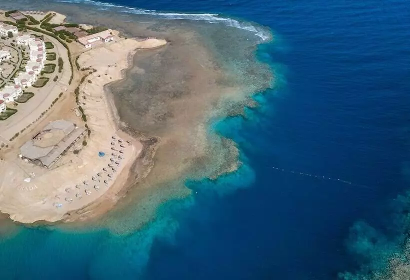 Fotos del hotel Red Sea Taj Mahal Resort & Aqua Park  All Inclusive:  23