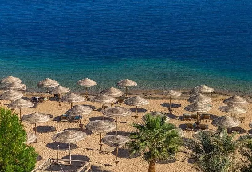 Fotos del hotel Red Sea Taj Mahal Resort & Aqua Park  All Inclusive:  22