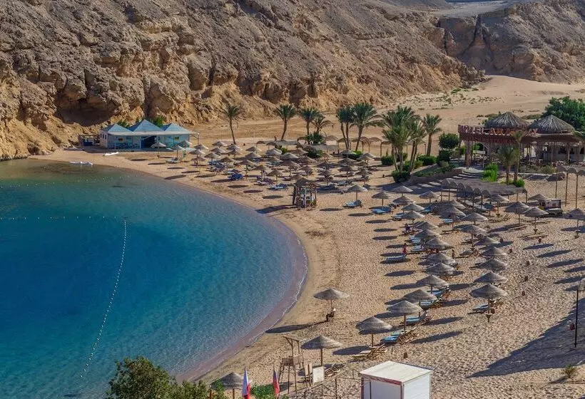 Fotos del hotel Red Sea Taj Mahal Resort & Aqua Park  All Inclusive:  19