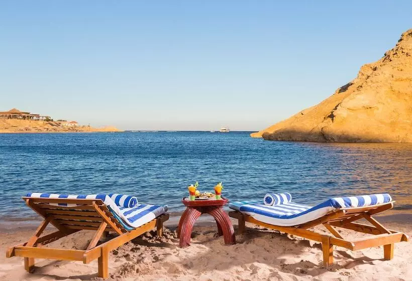 Fotos del hotel Red Sea Taj Mahal Resort & Aqua Park  All Inclusive:  13