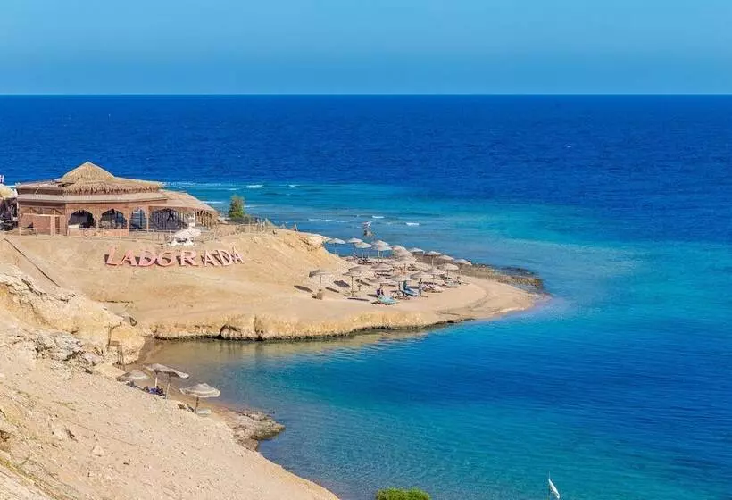 Fotos del hotel Red Sea Taj Mahal Resort & Aqua Park  All Inclusive:  21