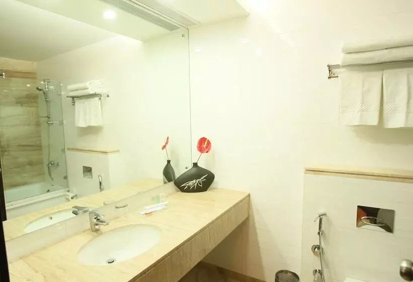 Fotos del hotel Emblem  New Friends Colony, New Delhi:  20