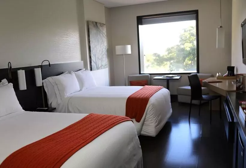 Fotos del hotel Cite:  22