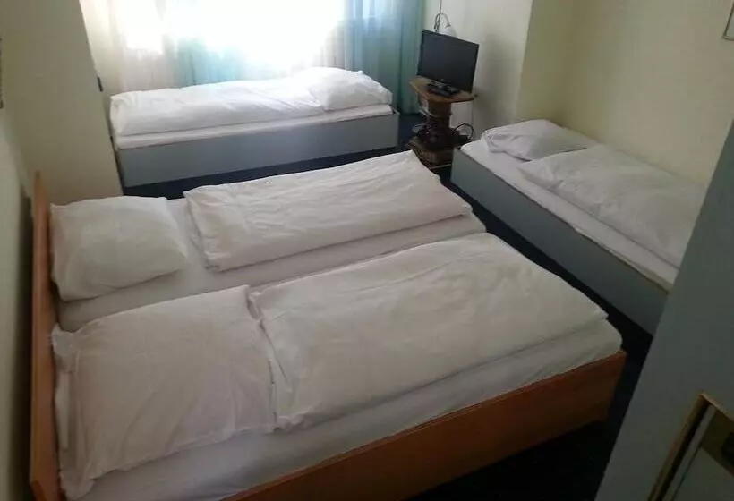 Fotos del hotel Garni Frankfurt:  7