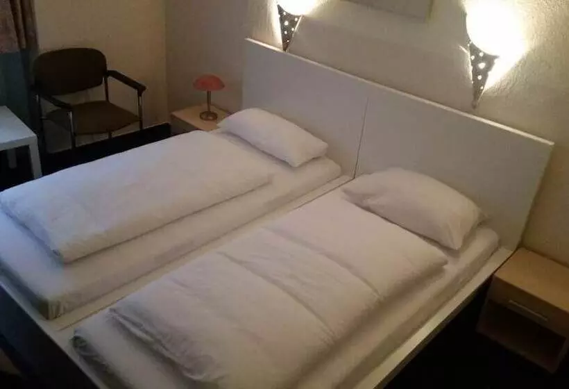 Fotos del hotel Garni Frankfurt:  19