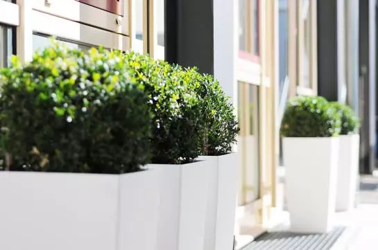 Fotos del hotel Hotel Geno:  4