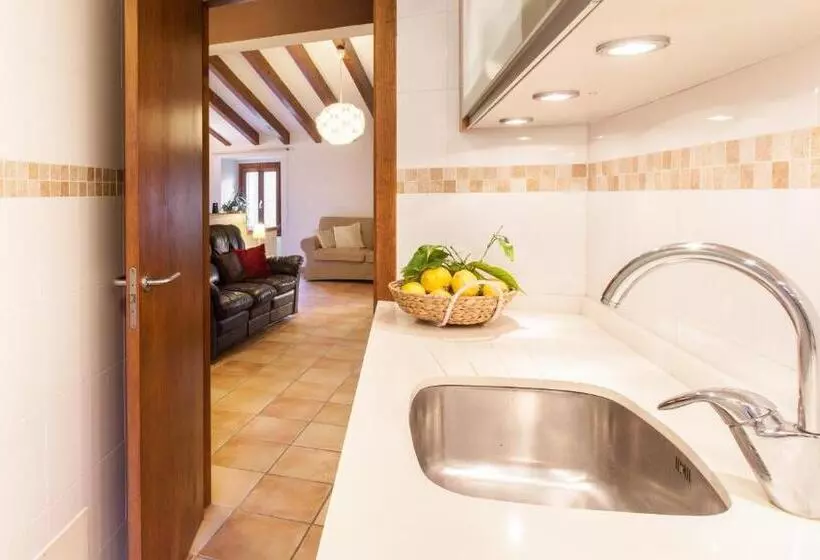 Fotos del hotel Petit  Alaro:  4