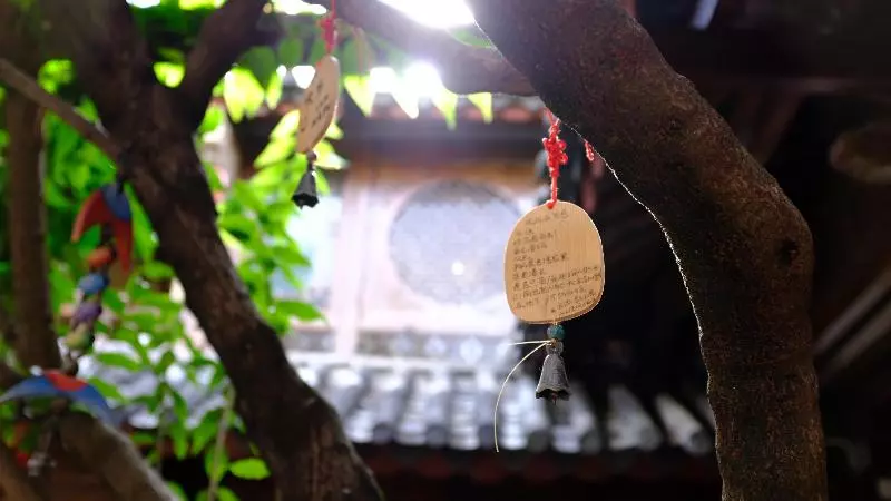 Fotos del hotel Blossom Hill Inn Lijiang Neverland:  6