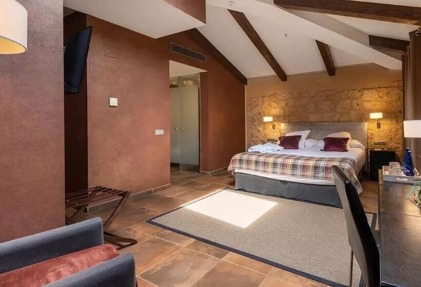 Fotos del hotel Castilla Termal Burgo De Osma:  18