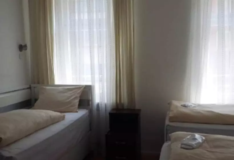 Fotos del hotel Goethe:  13