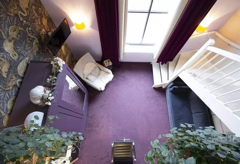 Fotos del hotel Suitehotel Pincoffs:  20