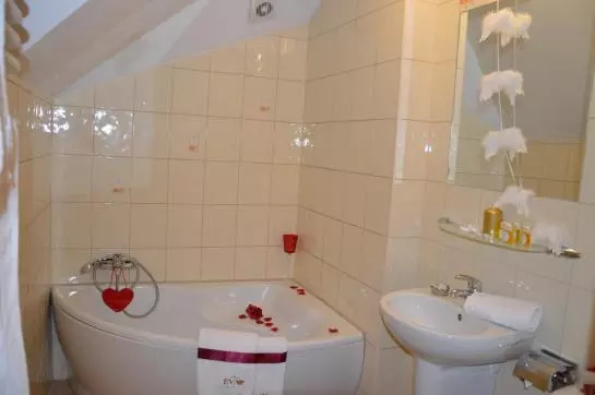 Fotos del hotel Vistula:  9