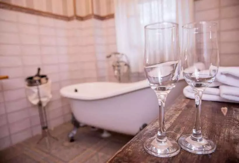 Fotos del hotel Senator:  17