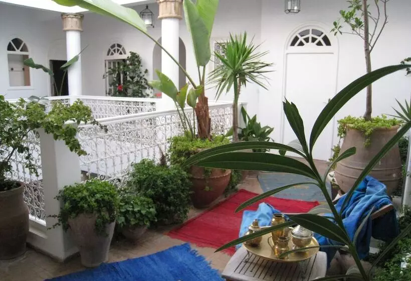 Fotos del hotel Dar Loulema:  4