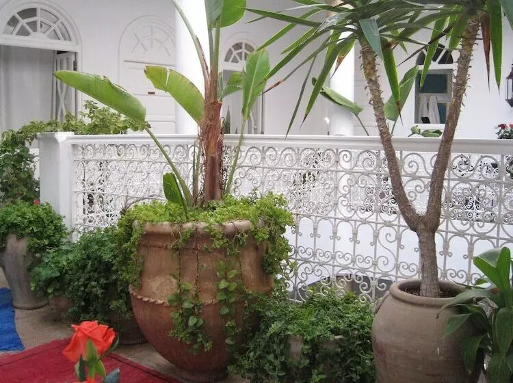 Fotos del hotel Dar Loulema:  8