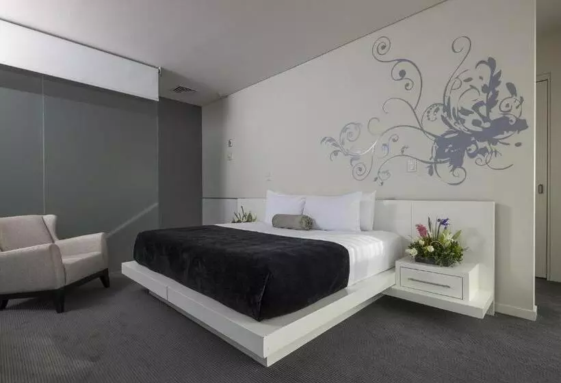 Fotos del hotel Gamma Morelia Belo:  18