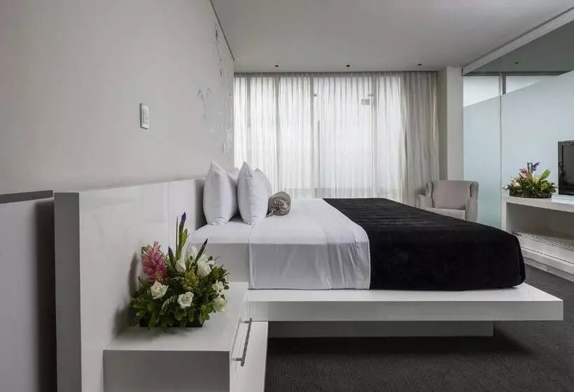 Fotos del hotel Gamma Morelia Belo:  21