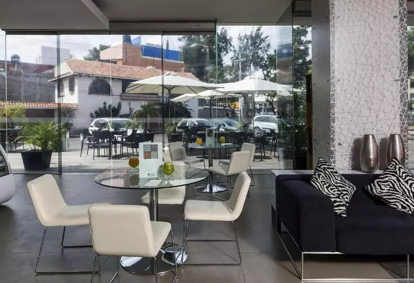 Fotos del hotel Gamma Morelia Belo:  7