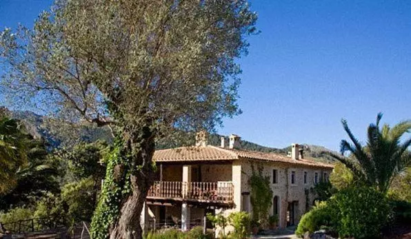 Fotos del hotel Agroturismo Vall De Pollensa:  9