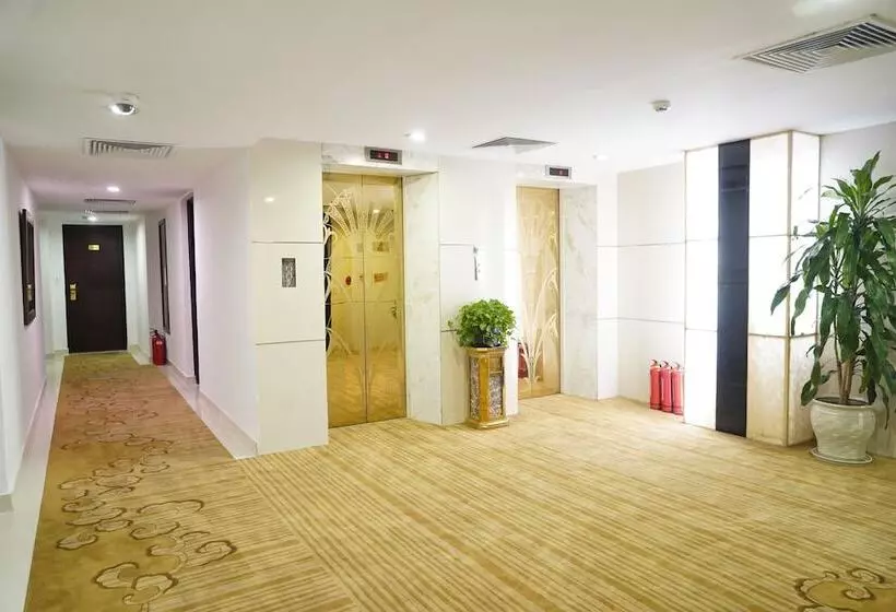 Bao Son International