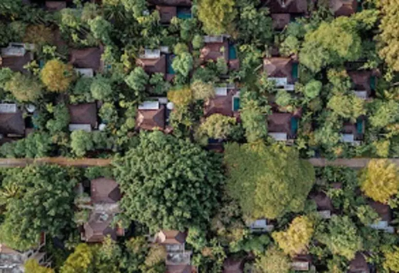 Fotos del hotel Sea Sand Sun Resort And Villas:  14