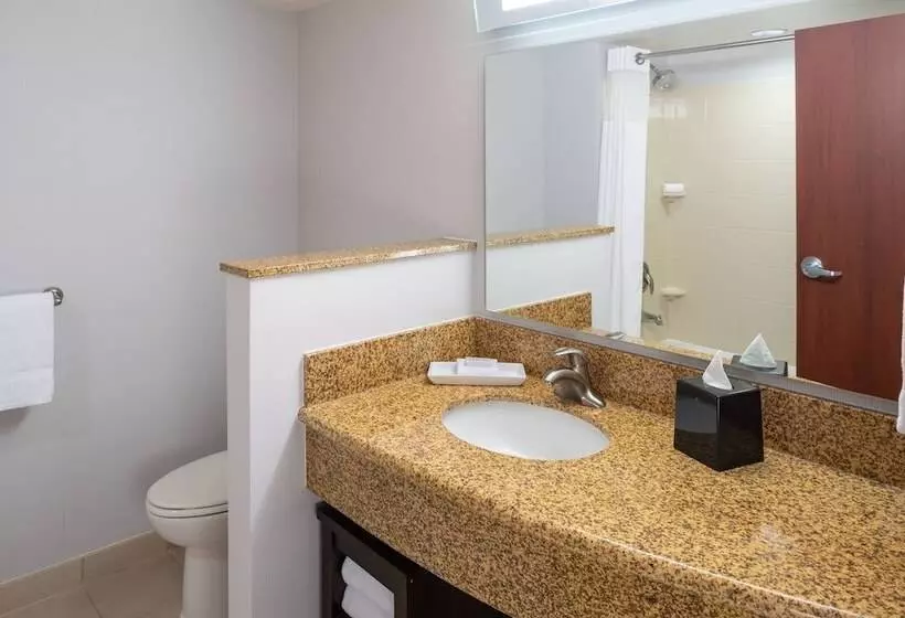 Fotos del hotel Courtyard By Marriott Miami Airport:  14