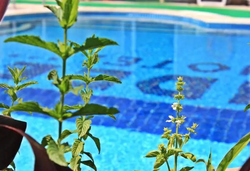 Fotos del hotel Idee:  3