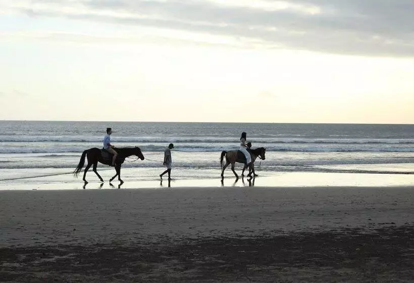 Fotos del hotel Sarinande:  6