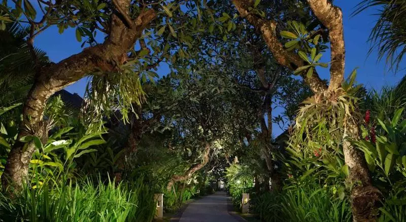 Fotos del hotel Sun Island Boutique Villas:  6