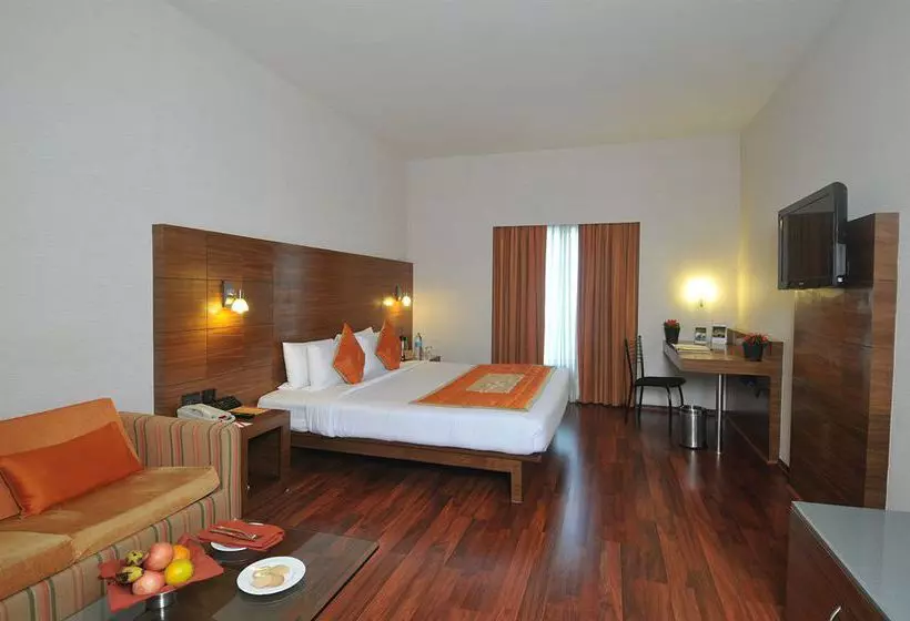 Fotos del hotel Vits Hotel Pune:  2