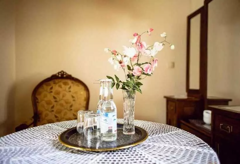 Fotos del hotel Aparthotel Camea:  3