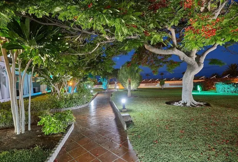 Fotos del hotel Tui Blue Los Gigantes - Adults Only:  38