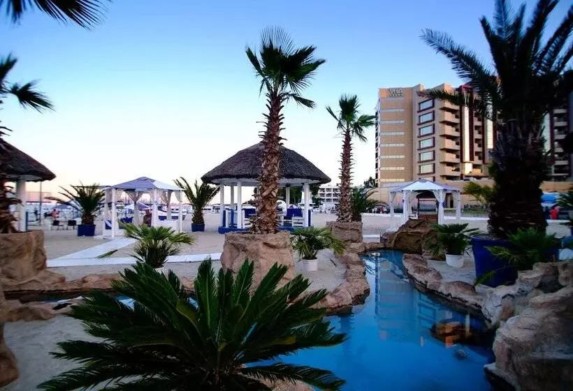 Fotos del hotel Vega:  24