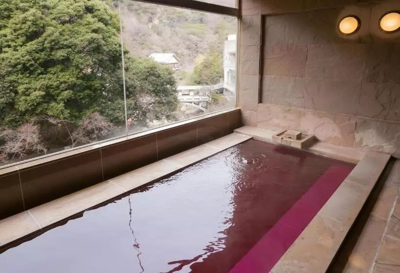 Fotos del hotel Arima Onsen Gekkoen Korokan:  22