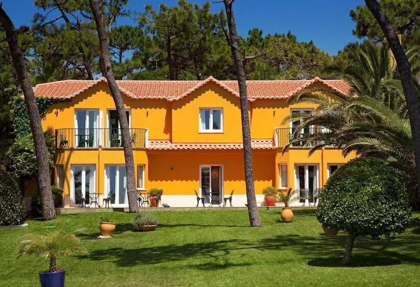 Fotos del hotel Senhora Da Guia Cascais Boutique:  16