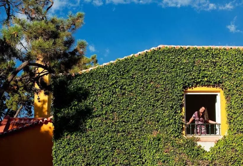 Fotos del hotel Senhora Da Guia Cascais Boutique:  11