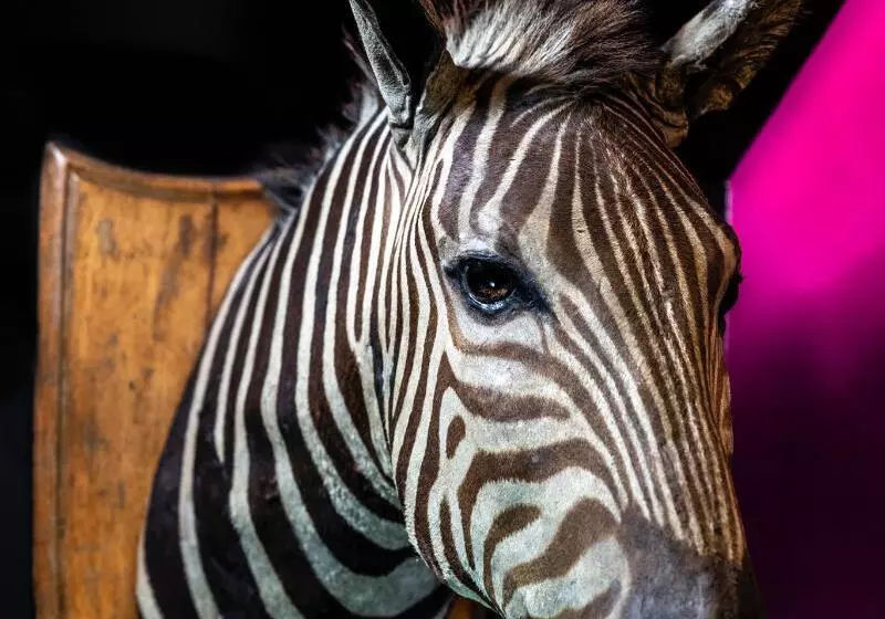 Fotos del hotel The Hux:  14