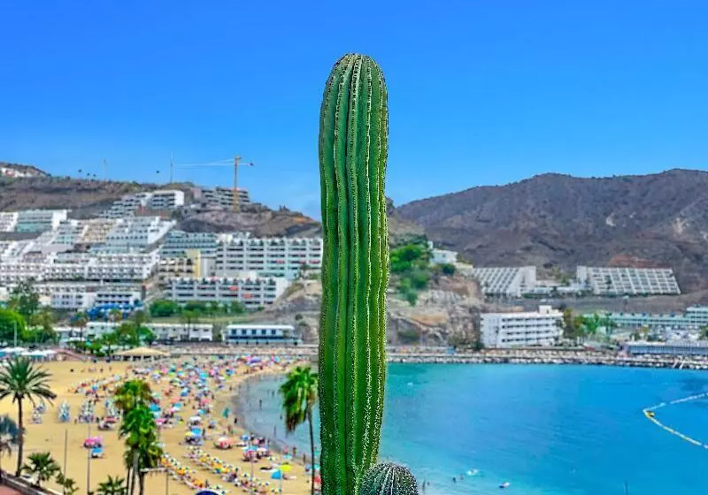 Fotos del hotel Apartamentos Punta del Rey - Adults Only:  9