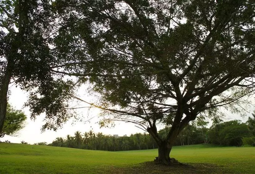 Fotos del hotel Coral Vista Del Mar:  14