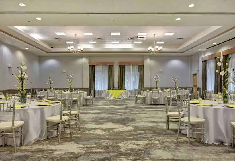 Fotos del hotel Hilton Garden Inn Orlando Lake Buena Vista:  21