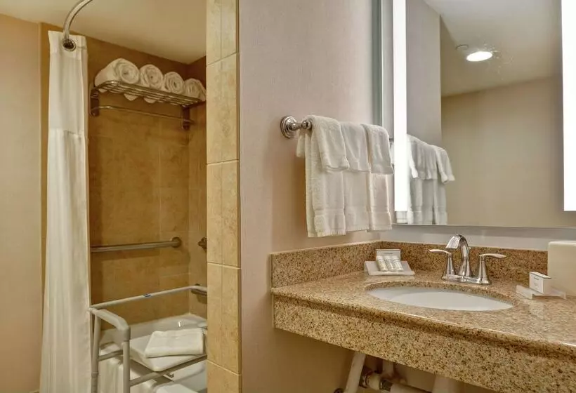 Fotos del hotel Hilton Garden Inn Orlando Lake Buena Vista:  14