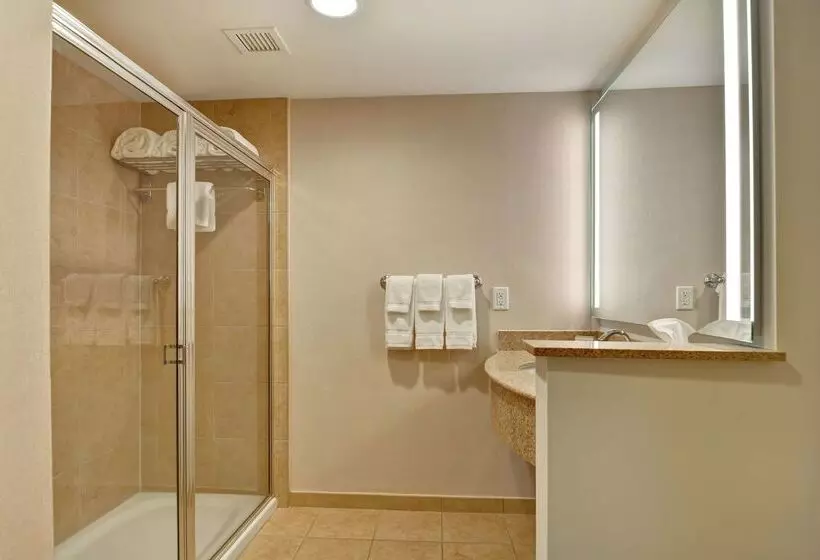 Fotos del hotel Hilton Garden Inn Orlando Lake Buena Vista:  8