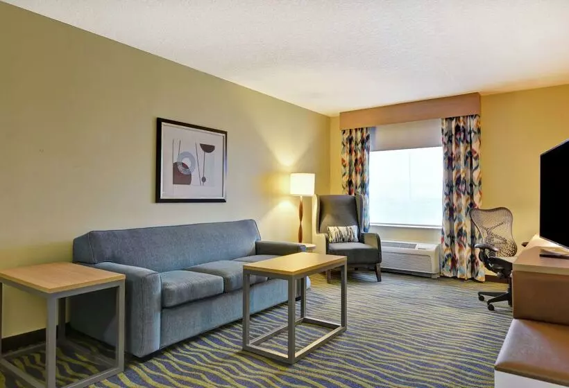 Fotos del hotel Hilton Garden Inn Orlando Lake Buena Vista:  25