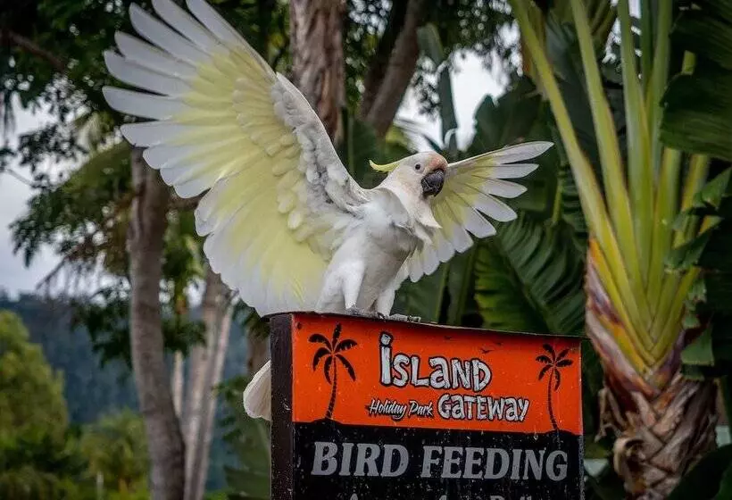 Fotos del hotel Island Gateway Holiday Park:  5