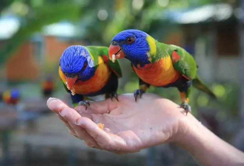 Fotos del hotel Island Gateway Holiday Park:  9