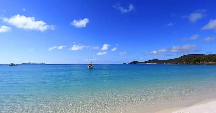 Fotos del hotel Island Gateway Holiday Park:  10