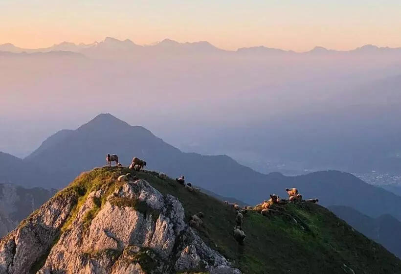 Fotos del hotel Menthof:  6