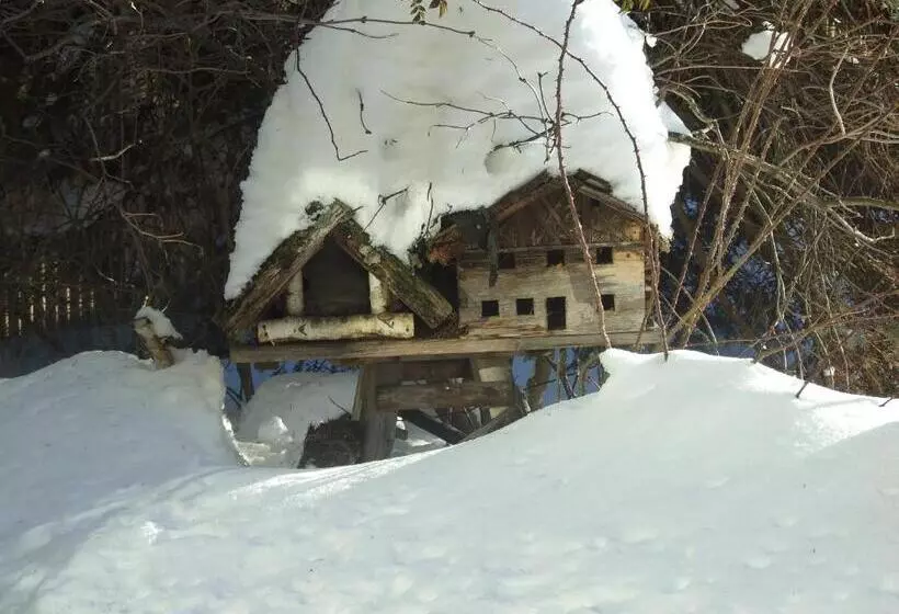 Fotos del hotel Menthof:  11